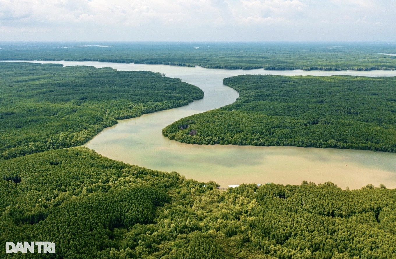 Cảng trung chuyển quốc tế Cần Giờ dự kiến sử dụng gần 90ha đất rừng phòng hộ ven biển (Ảnh minh họa: Hoàng Quy). Cảng trung chuyển quốc tế Cần Giờ dự kiến sử dụng gần 90ha đất rừng phòng hộ ven biển (Ảnh minh họa: Hoàng Quy).