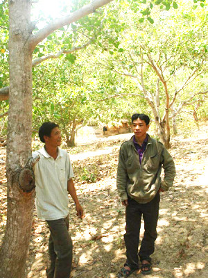 Anh Hà Như Thuật (bên phải) may mắn thoát chết khi voi rừng tấn công