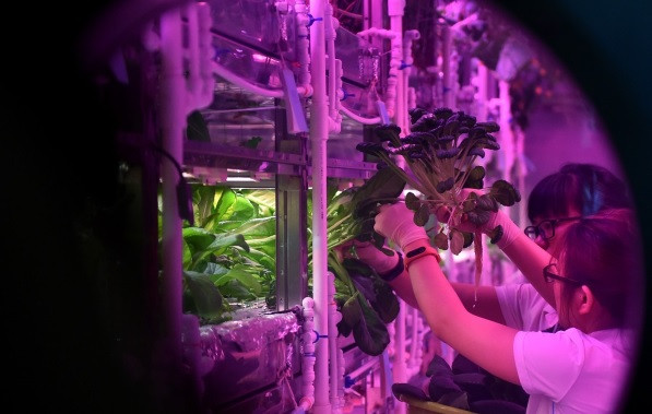 Sống 200 ngày ngoài không gian: Bạn có dũng khí vượt qua thử thách? ảnh 2