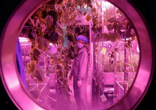 Sống 200 ngày ngoài không gian: Bạn có dũng khí vượt qua thử thách? ảnh 1