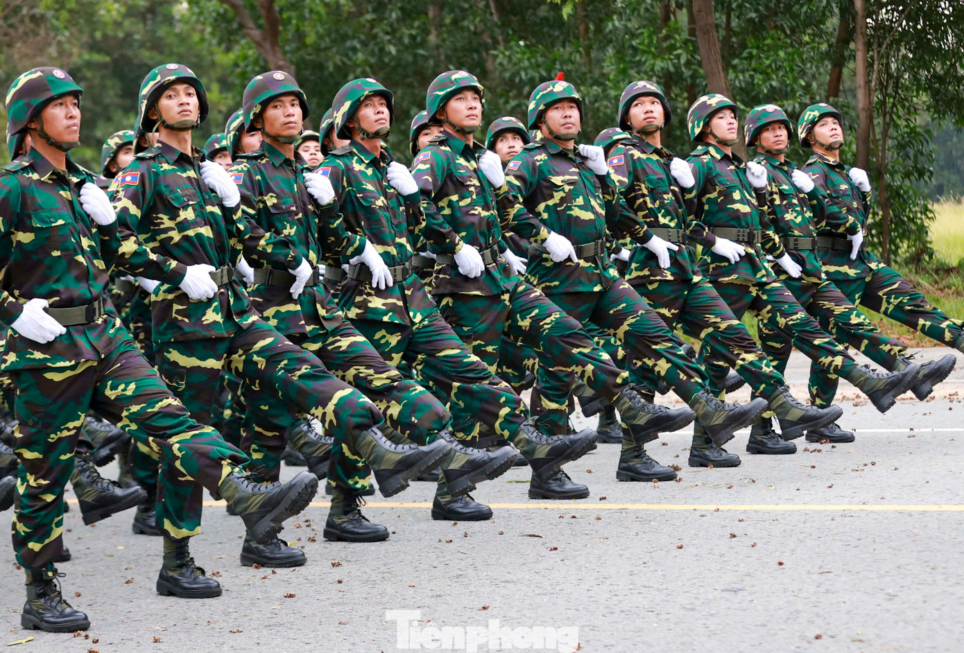 Lễ kỷ niệm 50 năm thống nhất đất nước diễn ra ngày 30/4/2025 tại TPHCM, với sự tham gia của 4 khối nghi trượng, 36 khối diễu binh, 12 khối diễu hành, cùng các lực lượng vũ trang và quân đội các nước bạn Lào, Campuchia và Trung Quốc.