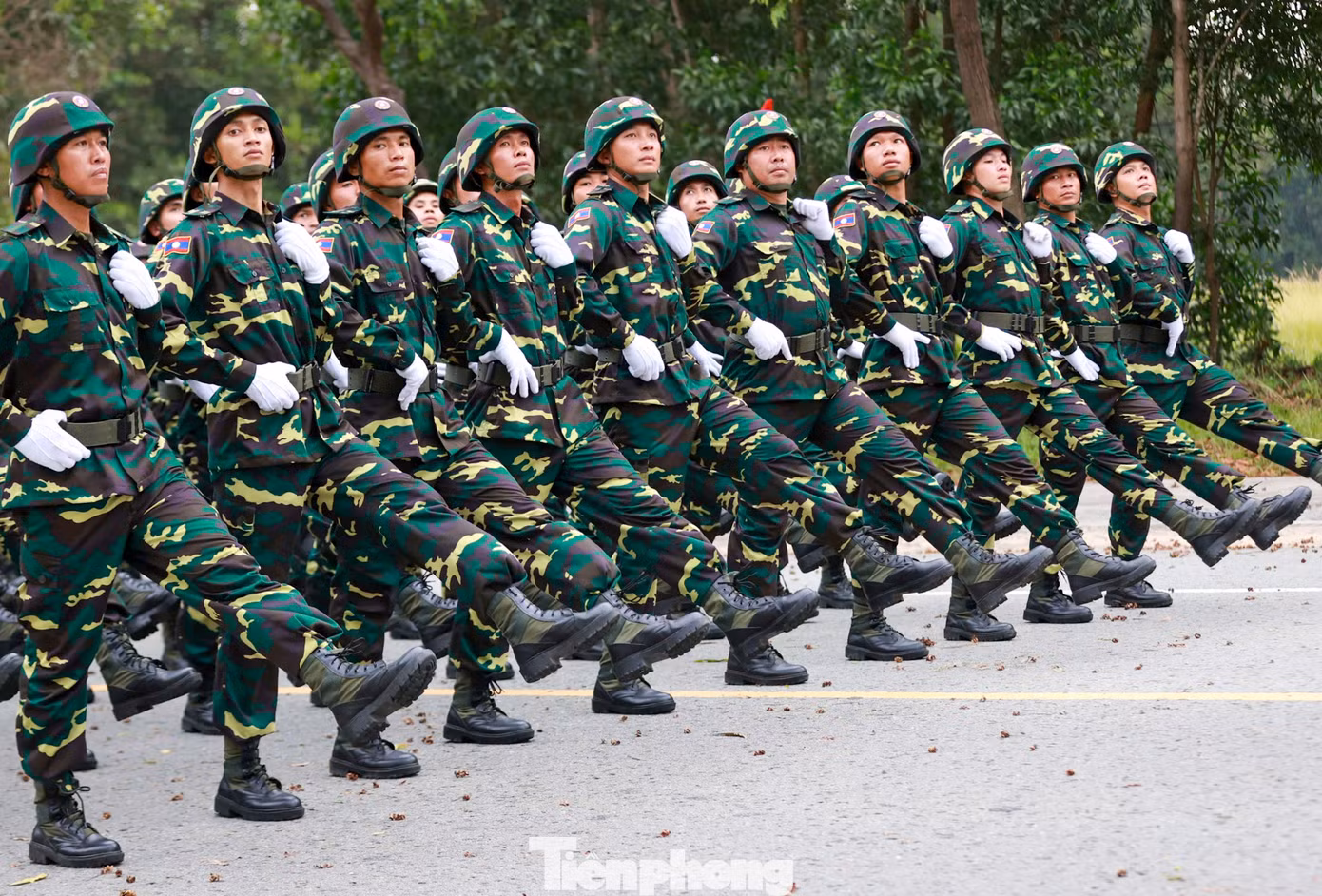 Lễ kỷ niệm 50 năm thống nhất đất nước diễn ra ngày 30/4/2025 tại TPHCM, với sự tham gia của 4 khối nghi trượng, 36 khối diễu binh, 12 khối diễu hành, cùng các lực lượng vũ trang và quân đội các nước bạn Lào, Campuchia và Trung Quốc.