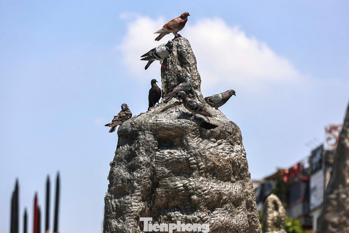 Phần lớn diện tích triển lãm trưng bày 27 tượng nhôm đúc cao 3,3-4,5 m, tổng trọng lượng 25 tấn. Các bức tượng không có hình dáng, biểu cảm cụ thể mà là ẩn dụ về sự kiên cường bất khuất của những người đã ngã xuống cho hòa bình dân tộc.