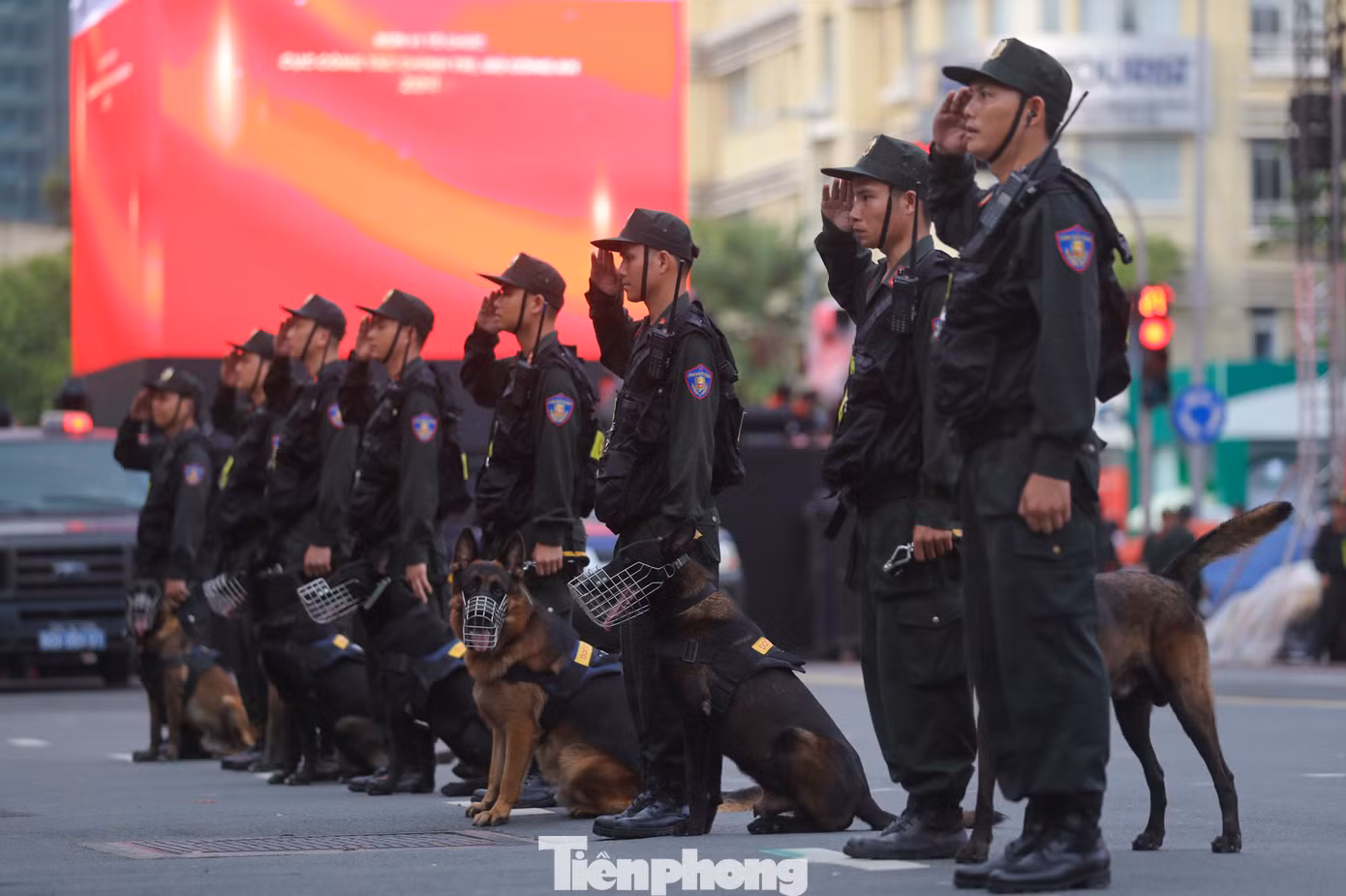 Kết thúc buổi tổng duyệt là màn trình diễn của đàn cảnh khuyển phát hiện ma túy trong vali, trong người và trong xe. Ảnh: Duy Anh.