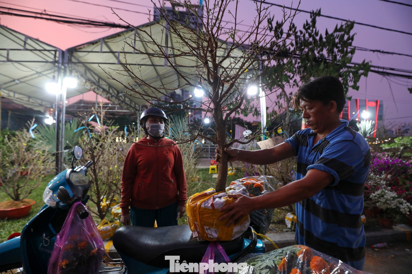 Chị Hằng (ngụ quận Bình Tân) chia sẻ: &quot;Năm nay, giá thành của mai vàng rẻ hơn so với các năm trước. Tôi cũng đã chọn được một cây khá đẹp mà giá chỉ có 200 nghìn đồng để về chưng Tết&quot;.