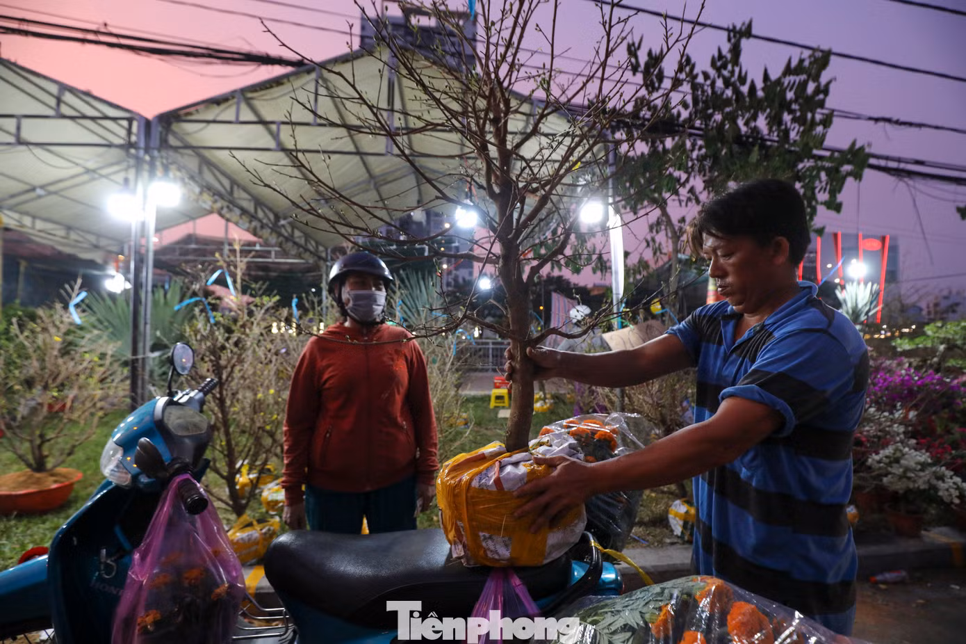 Chị Hằng (ngụ quận Bình Tân) chia sẻ: "Năm nay, giá thành của mai vàng rẻ hơn so với các năm trước. Tôi cũng đã chọn được một cây khá đẹp mà giá chỉ có 200 nghìn đồng để về chưng Tết".