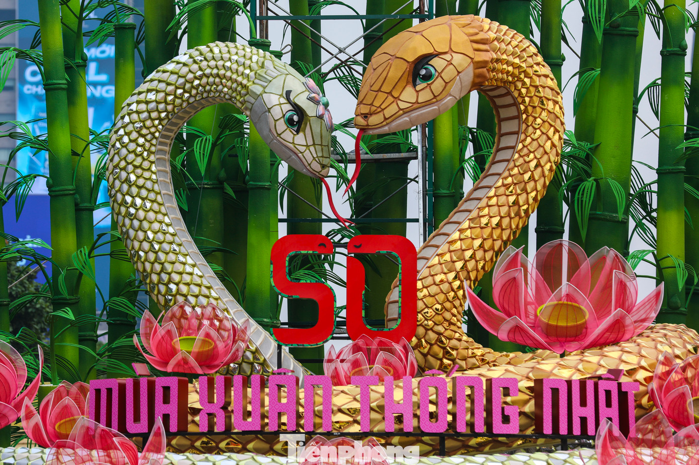 Cặp đôi linh vật rắn trên đường hoa Nguyễn Huệ được đặt tên Kim Tỵ và Ngân Tỵ với chiều dài lần lượt 42 m và 25 m toàn thân uốn lượn 3 vòng đan xen lẫn nhau, tạo thành đế rộng hơn 11 m, độ cao tính từ phần thân tiếp giáp với nền hoa đến đỉnh đầu cao trên 6 m.