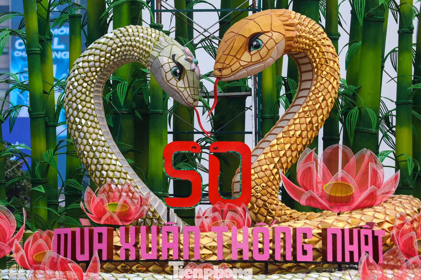 Cặp đôi linh vật rắn trên đường hoa Nguyễn Huệ được đặt tên Kim Tỵ và Ngân Tỵ với chiều dài lần lượt 42 m và 25 m toàn thân uốn lượn 3 vòng đan xen lẫn nhau, tạo thành đế rộng hơn 11 m, độ cao tính từ phần thân tiếp giáp với nền hoa đến đỉnh đầu cao trên 6 m.