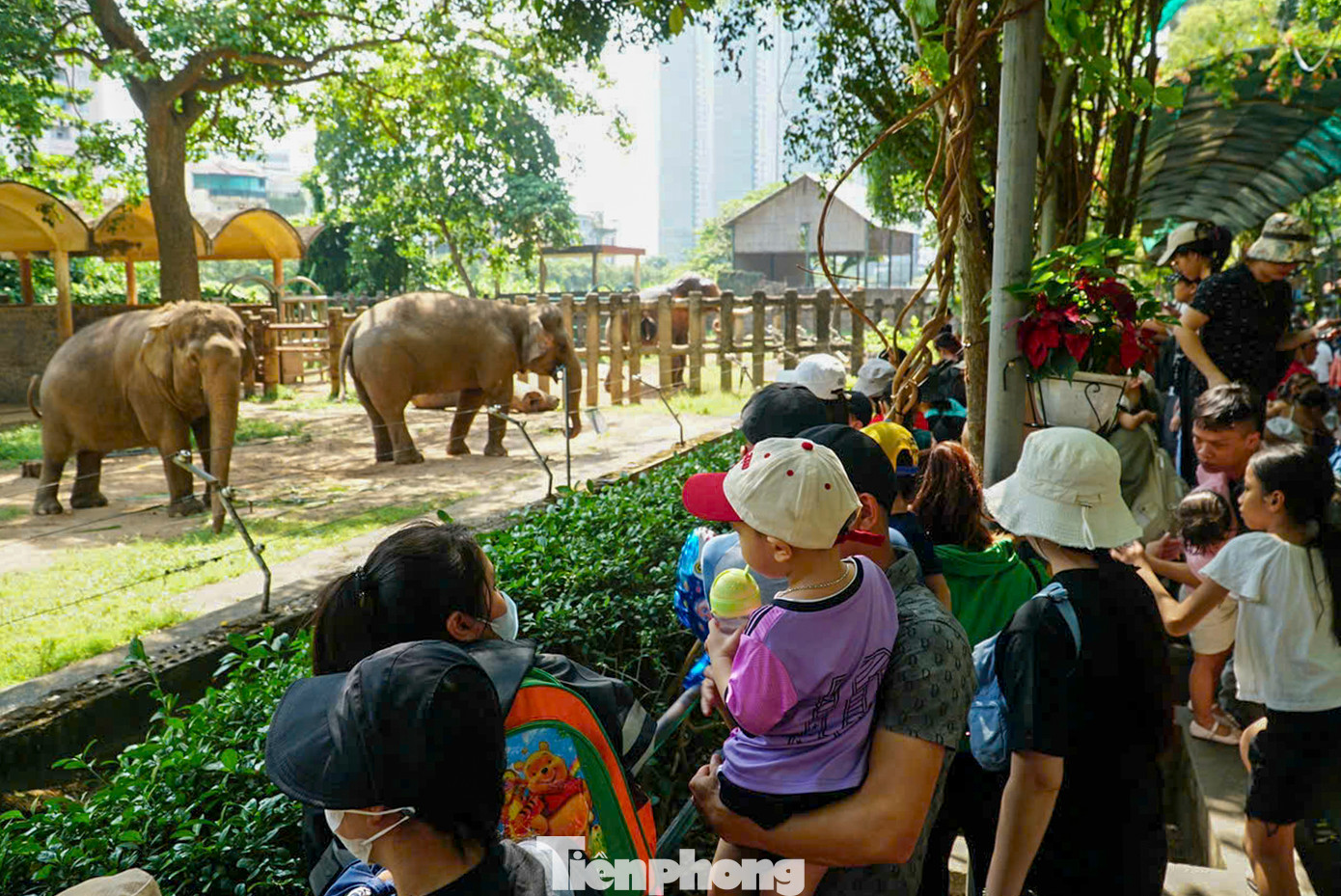 Đông nhất phải kể đến là khu chuồng voi. Trẻ nhỏ được cha mẹ dẫn đến đây tỏ ra thích thú và liên tục tương tác với voi bằng cách cho voi ăn mía.