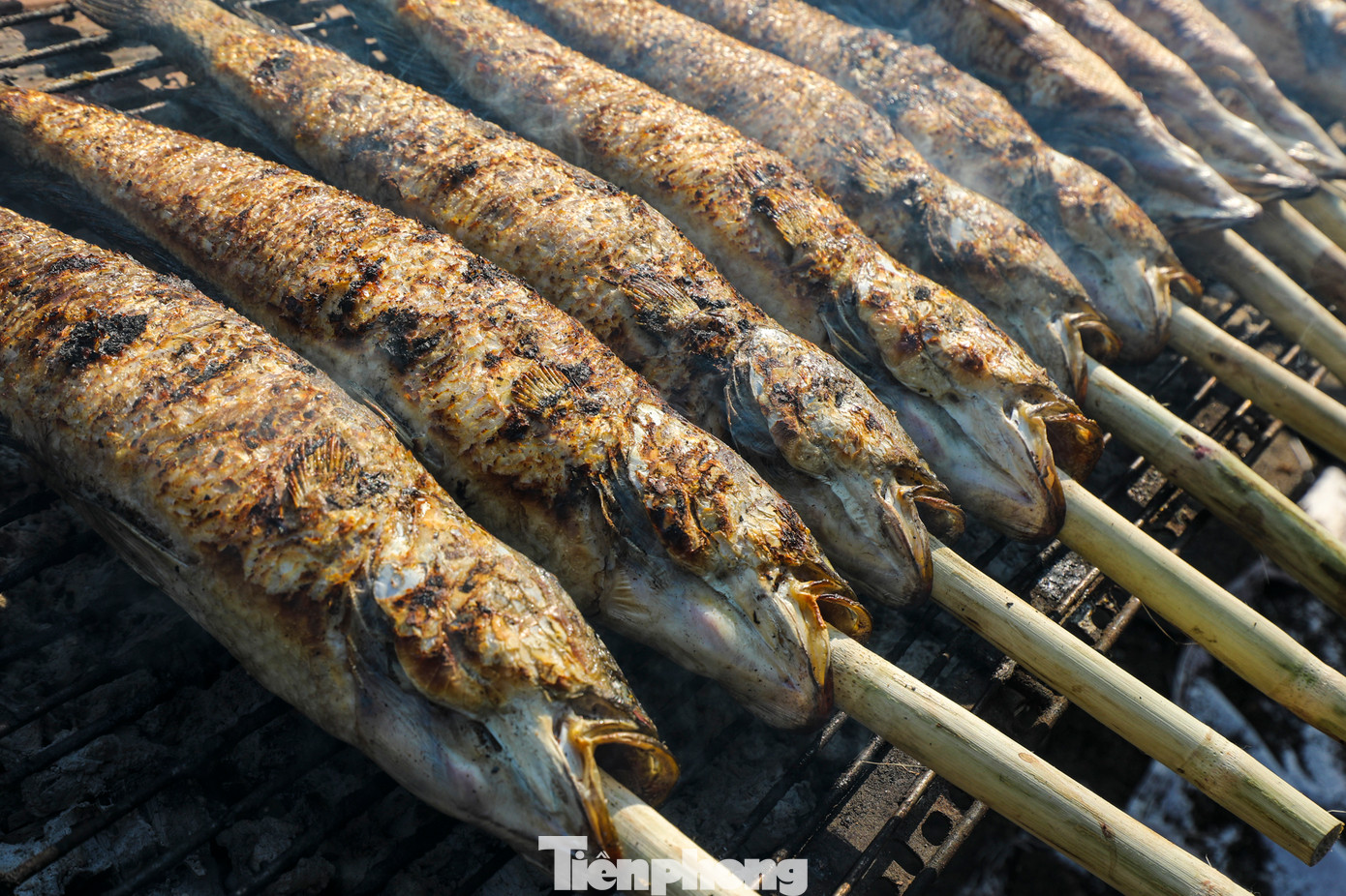 Giá cá lóc nướng năm nay được bán từ 200.000 - 220.000 đồng/con, kèm theo rau, bún. Giá cá lóc nướng năm nay được bán từ 200.000 - 220.000 đồng/con, kèm theo rau, bún.