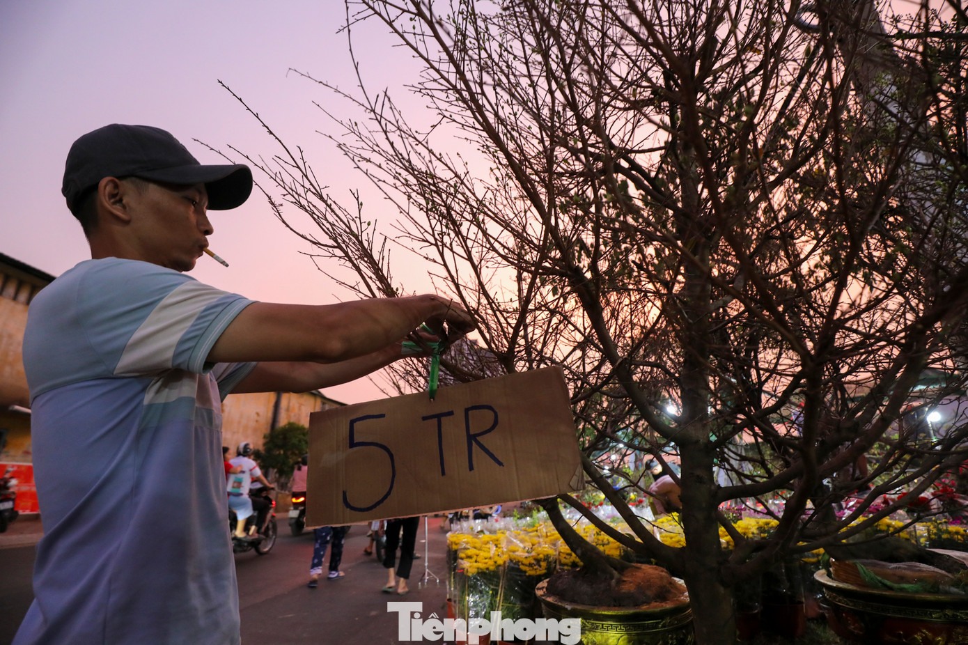 Anh Dũng (chủ một nhà vườn từ Bến Tre) cho biết giá thành mai vàng năm nay nhà vườn chủ động giảm mạnh để người dân có thể mua nhiều nhưng mấy ngày qua vẫn bán khá chậm. Những cây có giá từ 5 - 10 triệu đồng thì cũng hên xui và phải chờ đến những ngày cận Tết mới biết được có ai mua không.
