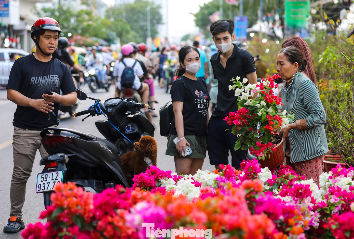 Những chậu hoa có giá 150.000-200.000 đồng cũng được &quot;chốt đơn&quot; khá chậm.