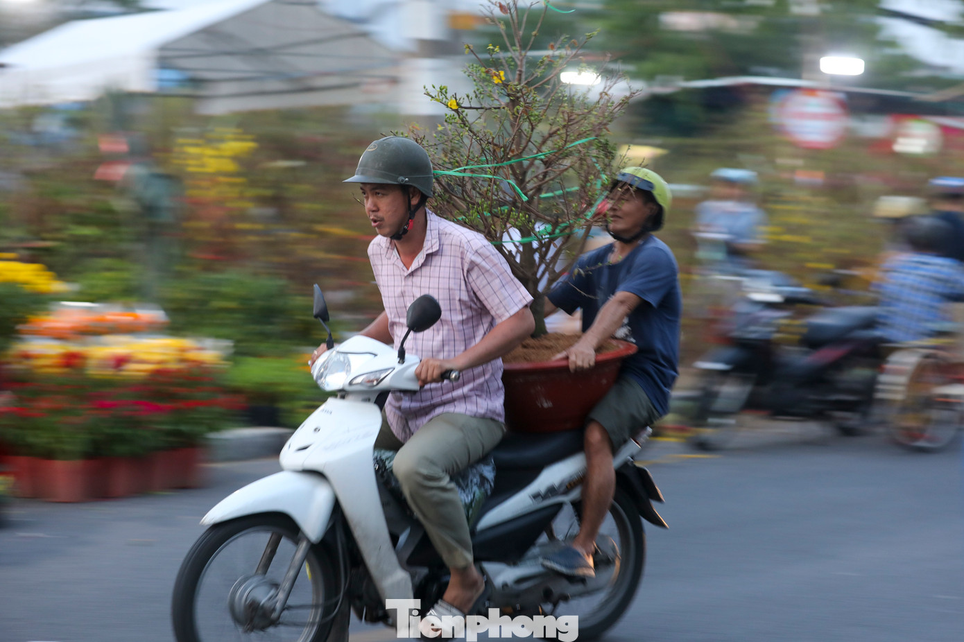 Đây là thời điểm các nhà vườn từ Đồng Tháp, Bến Tre, Tiền Giang, Vĩnh Long... tất bật vận chuyển những chuyến ghe chở đầy &quot;mùa xuân thu nhỏ&quot; về TPHCM để bày bán, phục vụ nhu cầu trang trí Tết của người dân.