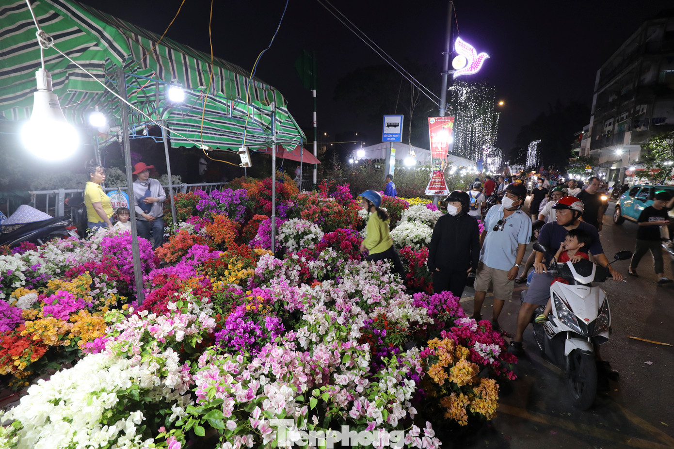 Gia đình chị Nguyễn Thị Mỹ Thanh ở Bến Tre mang hơn 1.000 chậu hoa đủ loại như cúc vạn thọ, mâm xôi, hoa mai... với giá bán từ 15.000 đồng/chậu tùy kích cỡ.