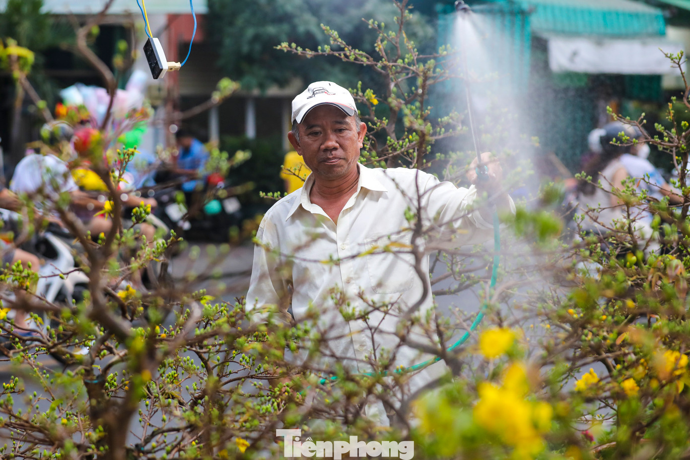 Những ngày giáp Tết, bến Bình Đông (quận 8, TPHCM) nhộn nhịp hơn bao giờ hết. Từng đoàn ghe thuyền từ các tỉnh miền Tây lần lượt cập bến, mang theo đầy ắp hoa kiểng rực rỡ.