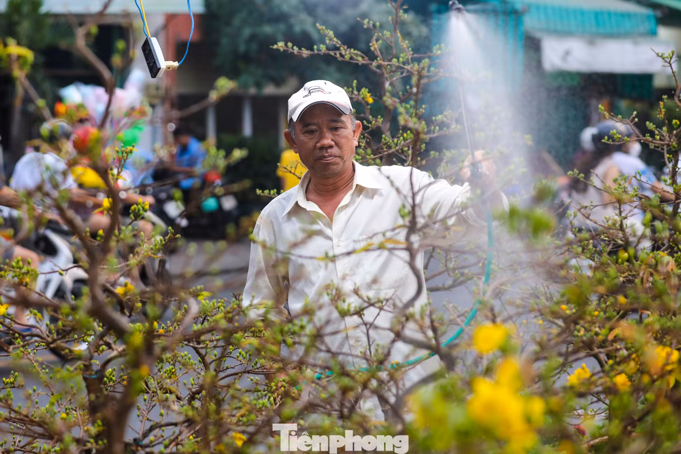 Những ngày giáp Tết, bến Bình Đông (quận 8, TPHCM) nhộn nhịp hơn bao giờ hết. Từng đoàn ghe thuyền từ các tỉnh miền Tây lần lượt cập bến, mang theo đầy ắp hoa kiểng rực rỡ.