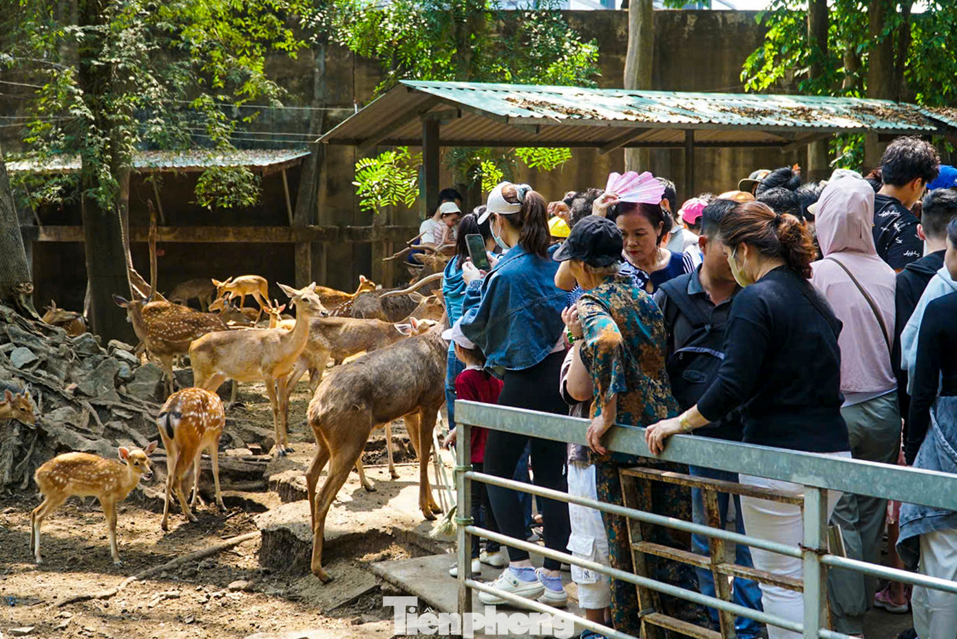 Bên trong khuôn viên Thảo Cầm Viên luôn trong tình trạng đông đúc.