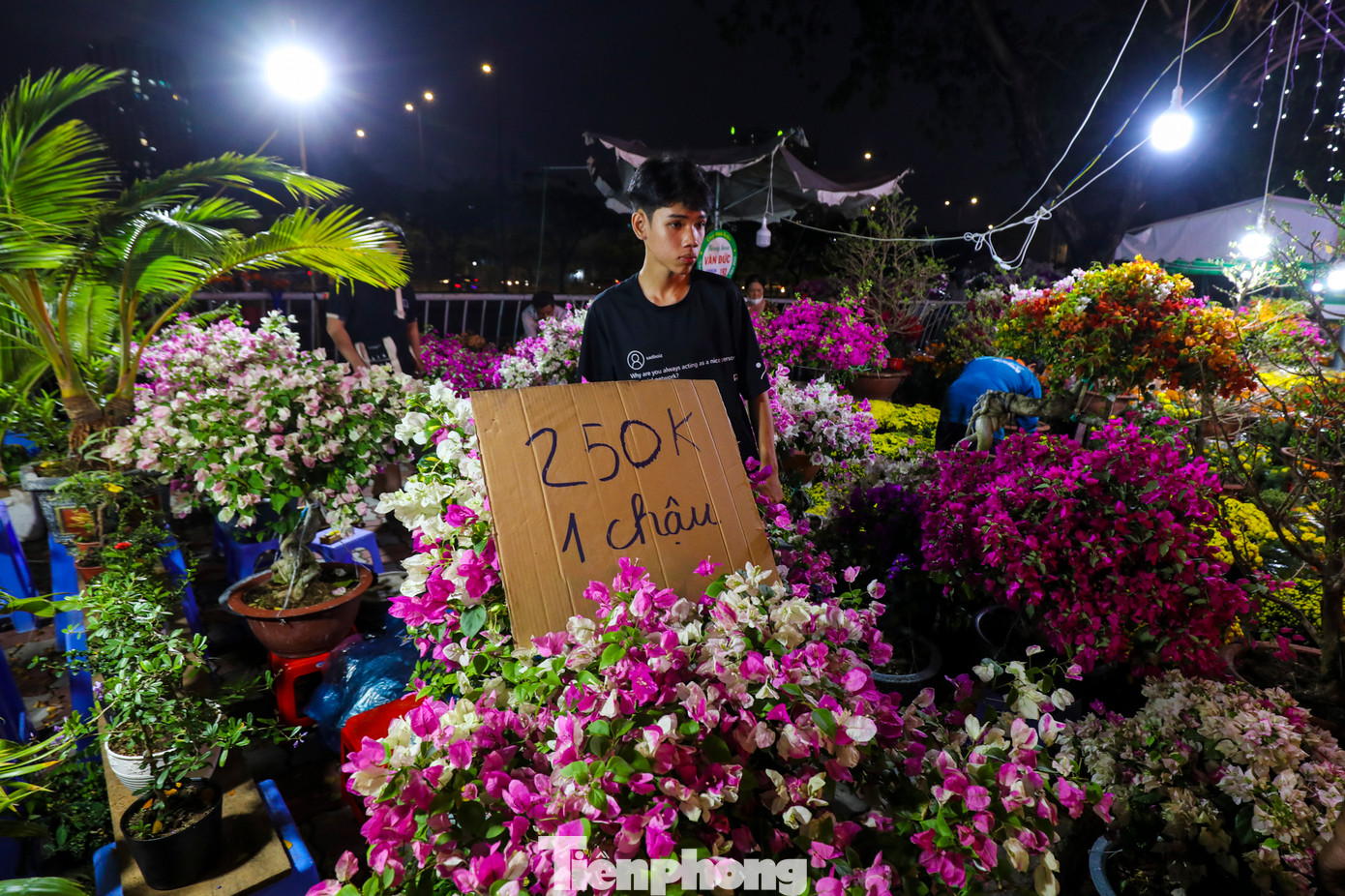 Các chậu hoa giấy này được chào bán với giá dao động từ 250.000 đồng đến 1 triệu đồng mỗi chậu, tùy kích thước và chủng loại.