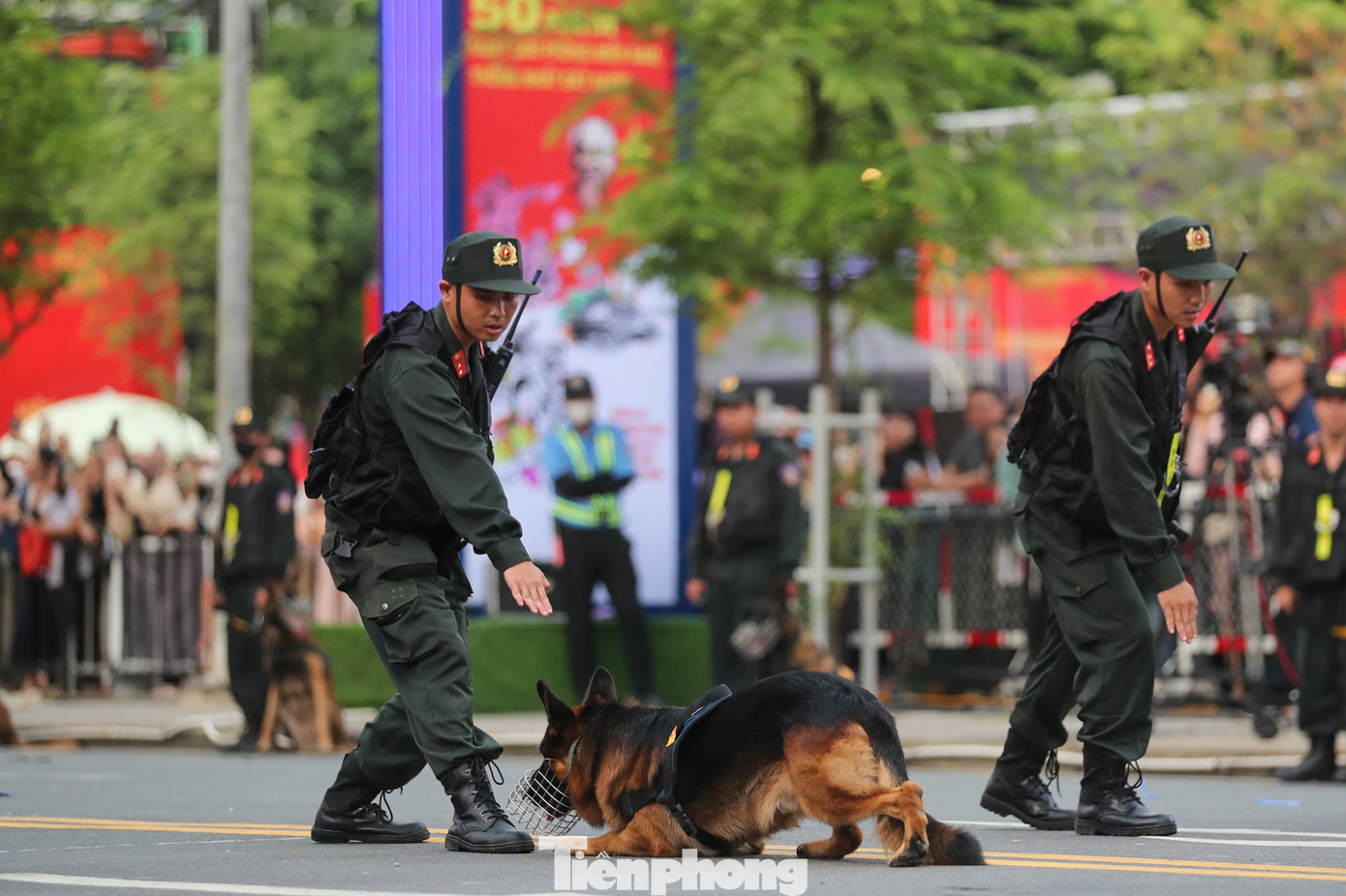 Kết thúc buổi tổng duyệt là màn trình diễn của đàn cảnh khuyển phát hiện ma túy trong vali, trong người và trong xe. Ảnh: Duy Anh.
