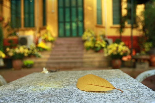 Bộ bàn ghế trước cửa chính ngôi nhà có từ năm 1963, là nơi Đại tướng thường ngồi nghỉ ngơi, đọc sách báo, bàn việc nước… nay đã vắng bóng Người