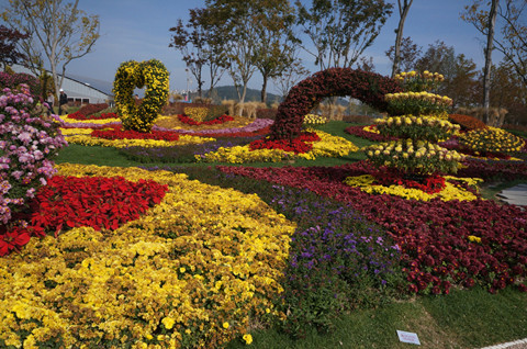 Sắc vàng, đỏ tại TP Suncheon. Sắc vàng, đỏ tại TP Suncheon