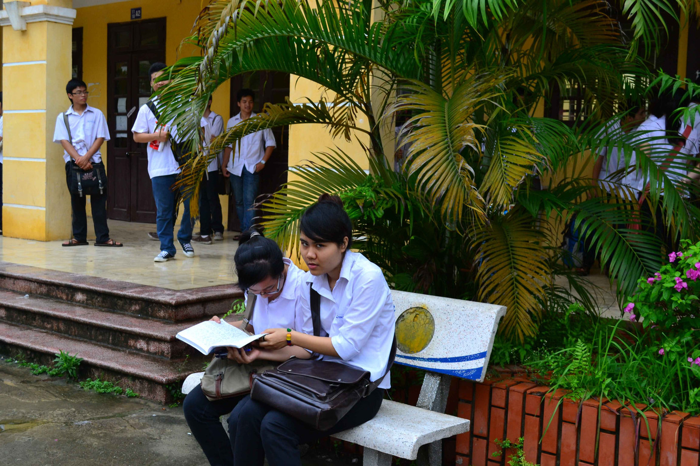 Tranh thủ học ngoài ghế đá