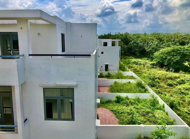 Dự án Khu dân cư Tân Thịnh hoang hoá, cỏ mọc um tùm.