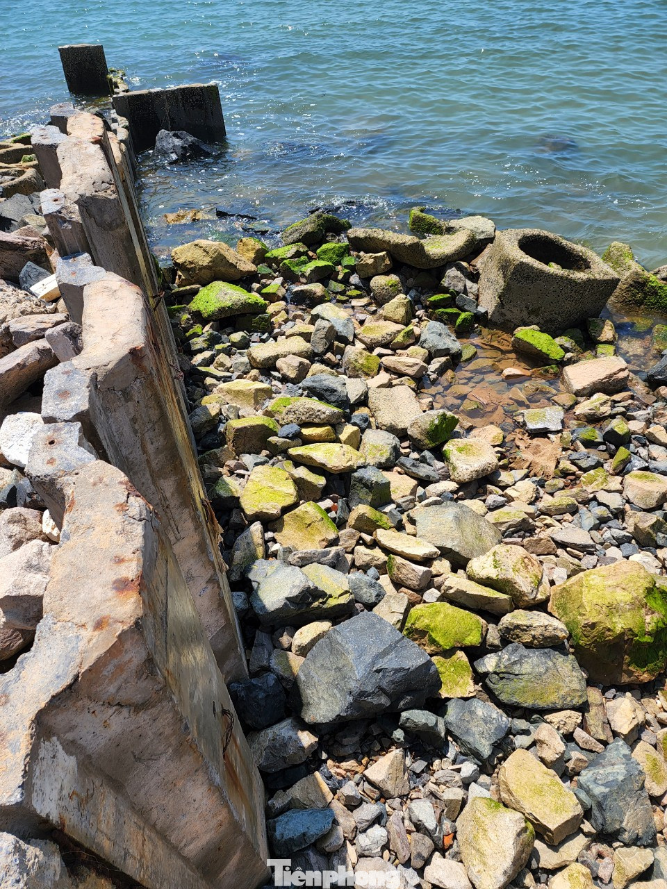 Đối với dự án trồng rừng, trồng cây lâu năm của Công ty CP Phú Long cách bờ biển và tuyến kè nói trên 500 m.