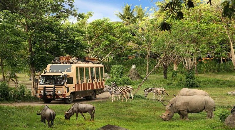 Tính đến tháng 3/2020, đã có 8 nhà đầu tư quan tâm, đề nghị thực hiện dự án Safari Hồ Tràm và 3 nhà đầu tư đã có báo cáo UBND tỉnh Bà Rịa - Vũng Tàu về phương án đầu tư.
