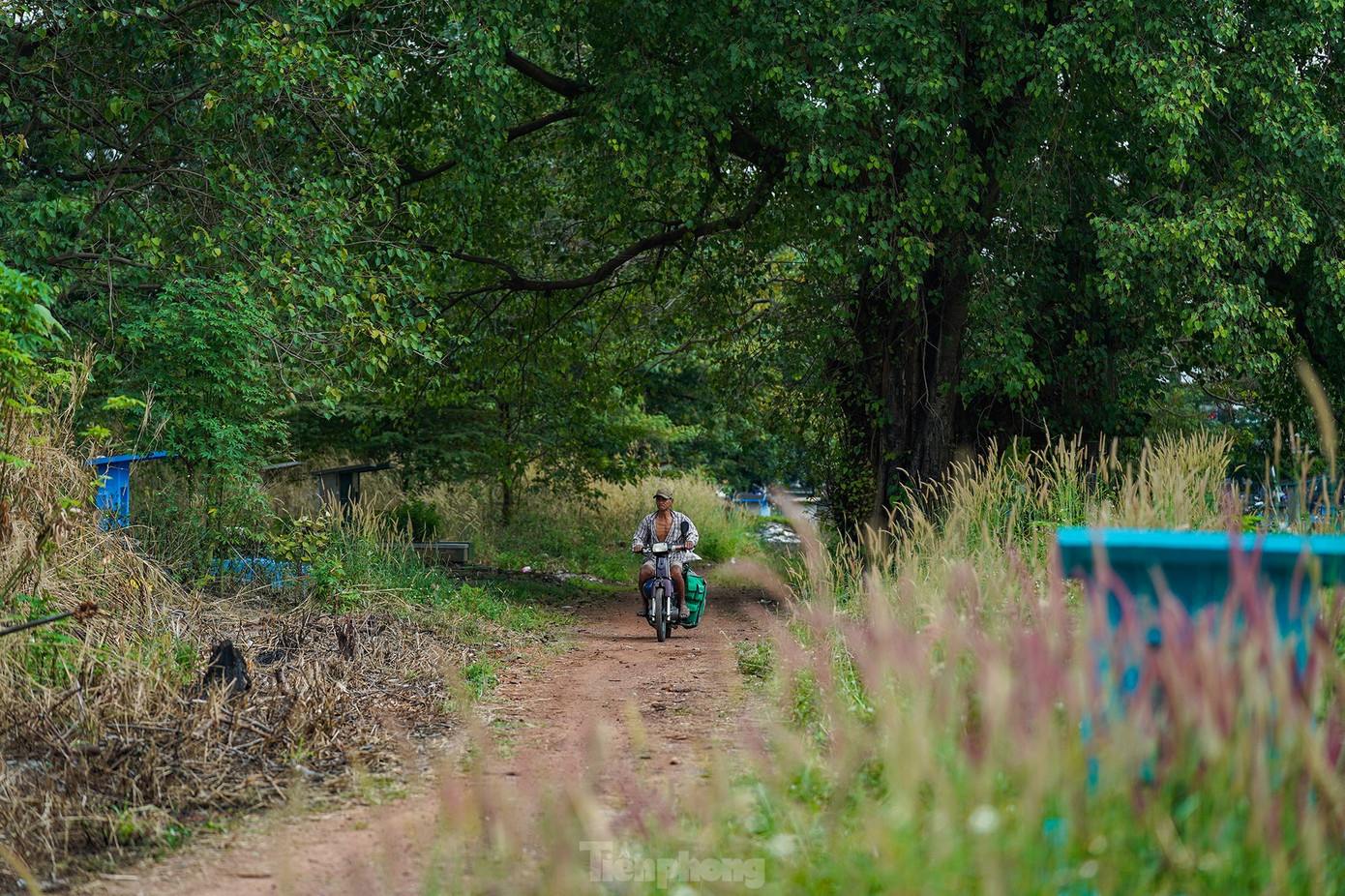 Bên trong nghĩa trang Bình Hưng Hòa, quận Bình Tân còn rất nhiều mộ chưa được di dời. Ảnh: Phạm Nguyễn