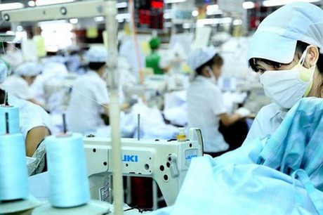 Công ty CP May xuất khẩu Phan Thiết có lịch sử chia cổ tức bằng tiền mặt với tỷ lệ rất cao.