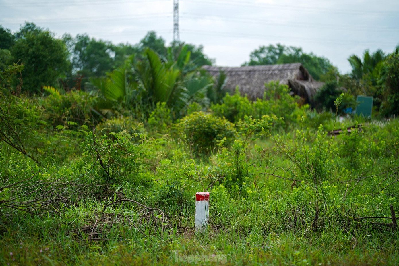 Một cọc mốc lộ giới để xác định ranh giải phóng mặt bằng dự án đầu tư xây dựng đường Vành đai 3 TPHCM. Ảnh: Phạm Nguyễn. Một cọc mốc lộ giới để xác định ranh giải phóng mặt bằng dự án đầu tư xây dựng đường Vành đai 3 TPHCM. Ảnh: Phạm Nguyễn.