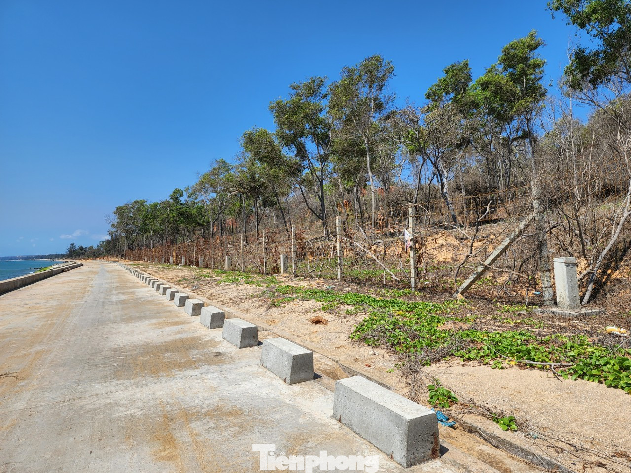 Theo UBND tỉnh Bình Thuận, trước khi xây dựng tuyến kè 350 m nói trên, Ban quản lý dự án công trình Sở Nông nghiệp Phát triển Nông thôn đã ký hợp đồng với Trung tâm Kỹ thuật tài nguyên Môi trường Bình Thuận đo đạc lập hồ sơ địa chính. Theo đó, đây là đất của bảy hộ dân và một phần đất do UBND xã quản lý.