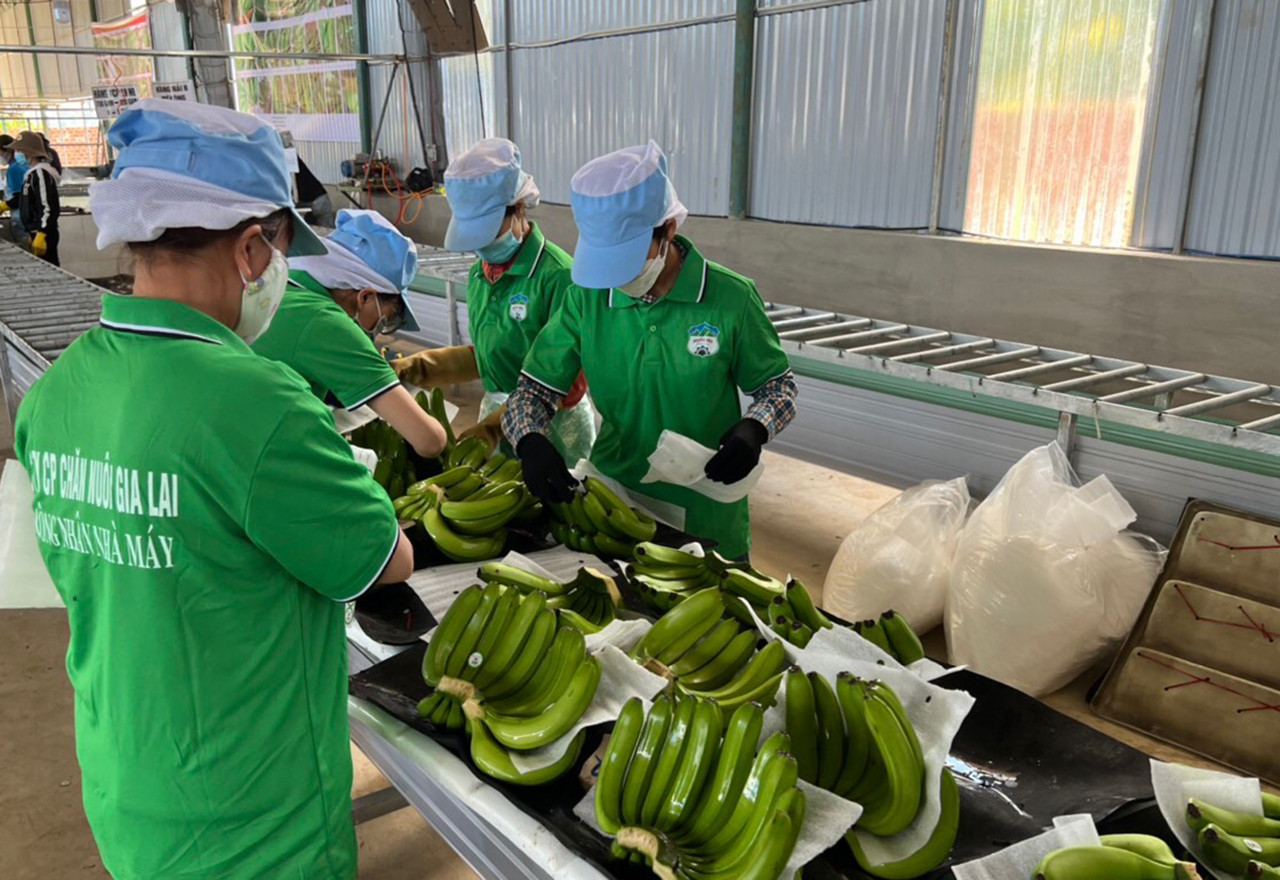 Sau khi trừ các chi phí, HAG báo lãi sau thuế 82 tỷ đồng trong tháng 5, tăng 156% so với tháng trước đó. Sau khi trừ các chi phí, HAG báo lãi sau thuế 82 tỷ đồng trong tháng 5, tăng 156% so với tháng trước đó.