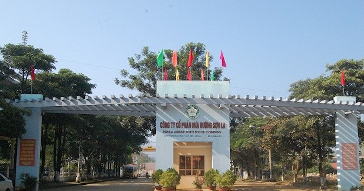 Công ty CP Mía đường Sơn La trả cổ tức bằng tiền niên độ 2022 - 2023 với tỷ lệ thực hiện lên tới 150%.