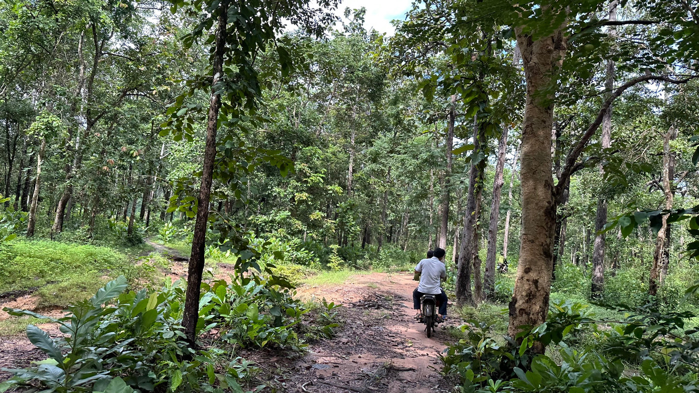 Phó giám đốc Sở NN và PTNT tỉnh Bình Thuận cho biết vị trí làm dự án phần lớn là rừng hỗn giao, trước đây đã từng khai thác.