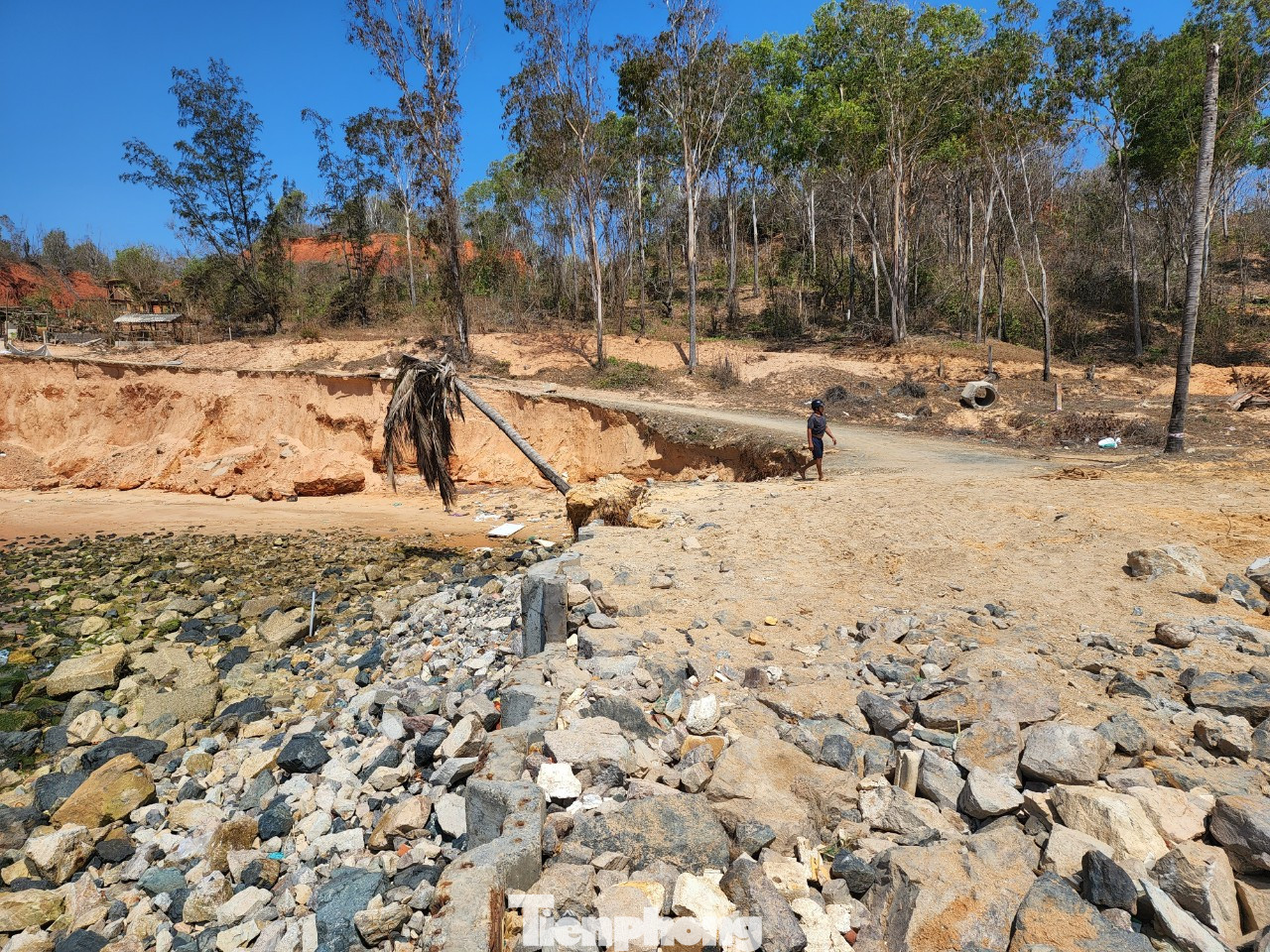 Hiện tại, Thường trực Tỉnh ủy Bình Thuận đã chỉ đạo thanh tra việc thực hiện đoạn kè này. Quá trình thanh tra nếu phát hiện dấu hiệu vi phạm pháp luật sẽ chuyển hồ sơ sang công an.