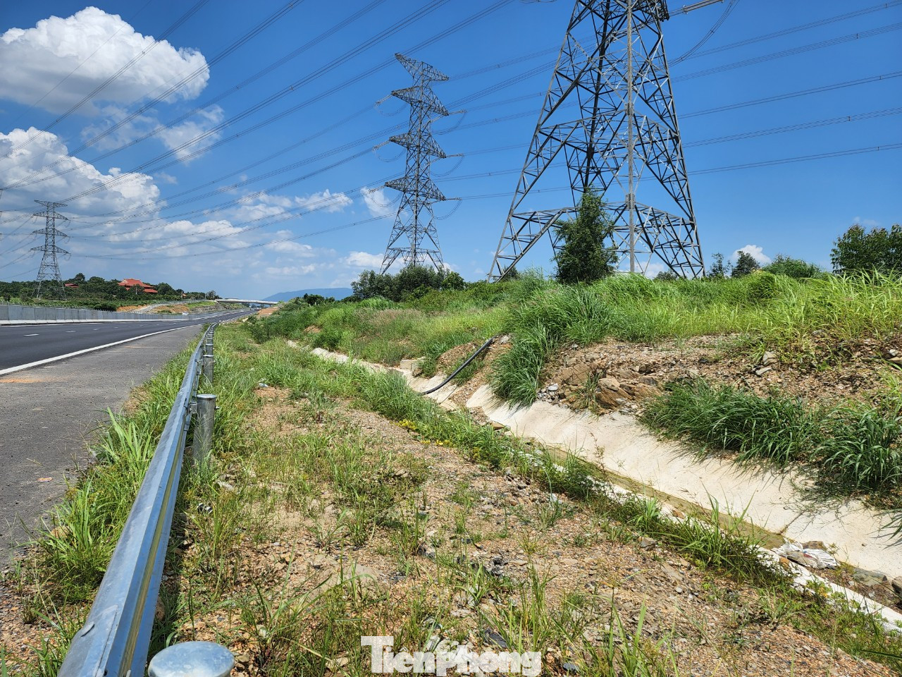 Sau 4 tháng đưa vào khai thác, hai bên đường cao tốc Phan Thiết - Dầu Giây, cỏ đã mọc um tùm.