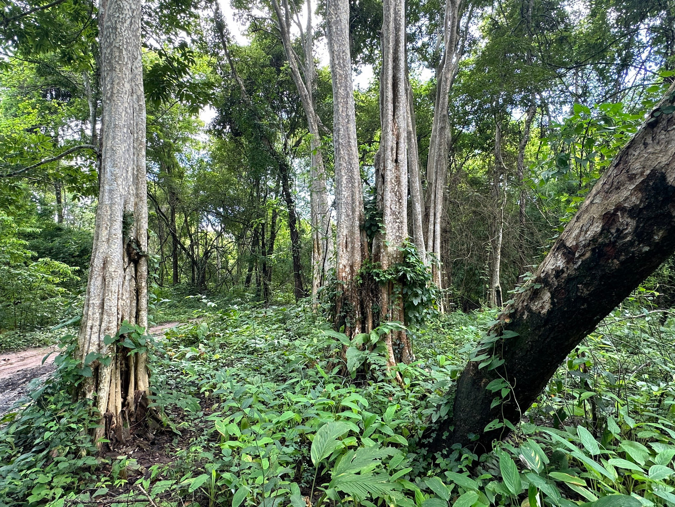 Đến năm 2002, khi Chính phủ thực hiện chủ trương đóng cửa thì nơi đây được canh giữ nghiêm ngặt.