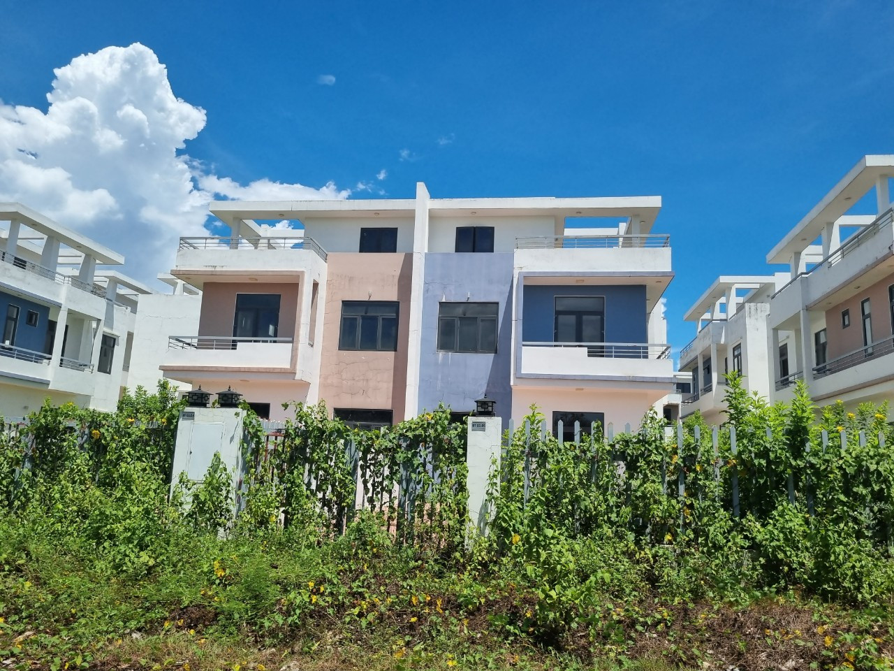 Vấn đề đầu tiên mà AASCS cảnh báo là thuyết minh thông tin về dự án Khu dân cư Tân Thịnh. Theo kết luận thanh tra ngày 23/3 của Chủ tịch UBND tỉnh Đồng Nai, các vi phạm của công ty đều là vi phạm về hành chính.