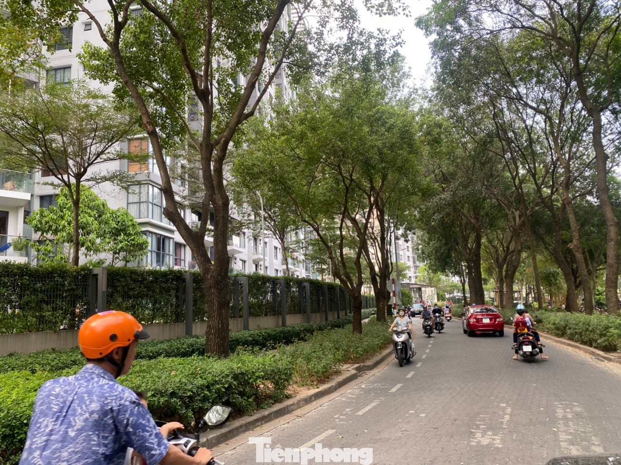 Đường nội bộ trong Khu đô thị Celadon City, dẫn từ khu Ruby qua khu Emeral.