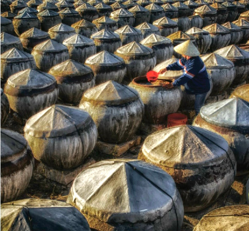 Nước mắm Phan Thiết đến tận ngày nay vẫn gìn giữ được cái truyền thống vốn có, ngon sạch nguyên chất, dù đã trải qua rất nhiều thăng trầm của 300 năm làng nghề. Được Sách kỷ lục Việt Nam công nhận là top 10 nước chấm gia vị nổi tiếng Việt Nam, nước mắm Phan Thiết hôm nay còn được xem là một trong những “món quà lưu niệm” ý nghĩa mà du khách khắp nơi khi đến tham quan nghỉ dưỡng tại thành phố biển đem về biếu tặng người thân, bè bạn. Nước mắm Phan Thiết đến tận ngày nay vẫn gìn giữ được cái truyền thống vốn có, ngon sạch nguyên chất, dù đã trải qua rất nhiều thăng trầm của 300 năm làng nghề. Được Sách kỷ lục Việt Nam công nhận là top 10 nước chấm gia vị nổi tiếng Việt Nam, nước mắm Phan Thiết hôm nay còn được xem là một trong những “món quà lưu niệm” ý nghĩa mà du khách khắp nơi khi đến tham quan nghỉ dưỡng tại thành phố biển đem về biếu tặng người thân, bè bạn.