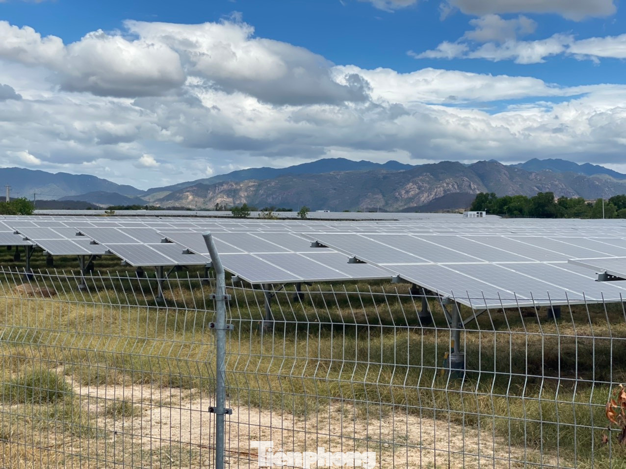 Một dự án điện mặt trời ở huyện Tuy Phong, tỉnh Bình Thuận dính lùm xùm liên quan đến thu hồi, bồi thường đất cho người dân.