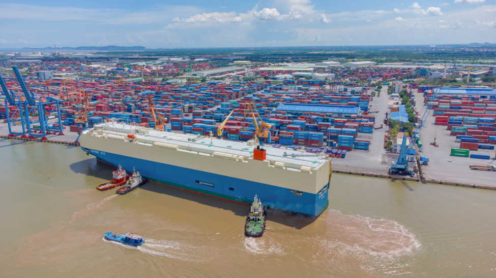 Cảng Đình Vũ trả cổ tức bằng tiền mặt đợt 2 năm 2022 là 50%. Cảng Đình Vũ trả cổ tức bằng tiền mặt đợt 2 năm 2022 là 50%.