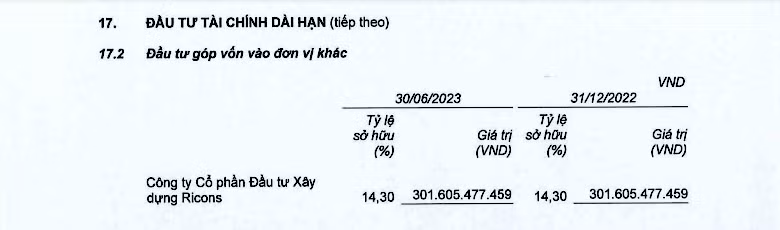 Trong báo cáo tài chính của Coteccons, Ricons chỉ được nhắc tới ở mục đầu tư góp vốn vào đơn vị khác với giá trị hơn 301 tỷ đồng.