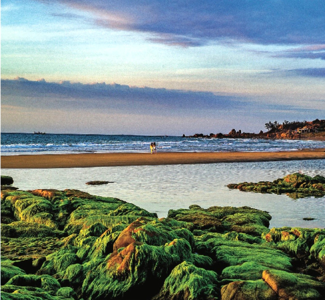 Từ cuối tháng 10 đến tháng 3 năm sau, bãi đá ở biển Cổ Thạch thuộc huyện Tuy Phong, tỉnh Bình Thuận khoác lên mình một màu rêu xanh. Biển Cổ Thạch từ lâu thu hút du khách thập phương với khu du lịch tâm linh chùa Hang và bãi biển đá cuội dài chừng 300m mang vẻ đẹp hoang sơ, ấn tượng. Từ cuối tháng 10 đến tháng 3 năm sau, bãi đá ở biển Cổ Thạch thuộc huyện Tuy Phong, tỉnh Bình Thuận khoác lên mình một màu rêu xanh. Biển Cổ Thạch từ lâu thu hút du khách thập phương với khu du lịch tâm linh chùa Hang và bãi biển đá cuội dài chừng 300m mang vẻ đẹp hoang sơ, ấn tượng.