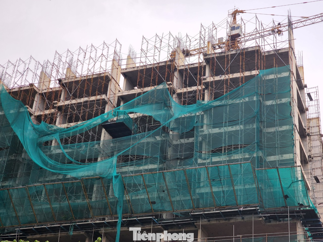 Nguyên nhân do chủ đầu tư được giao đầu tư xây dựng chung cư là Công ty Mê Kông chậm hoàn thành việc đầu tư xây dựng chung cư Park Vista.