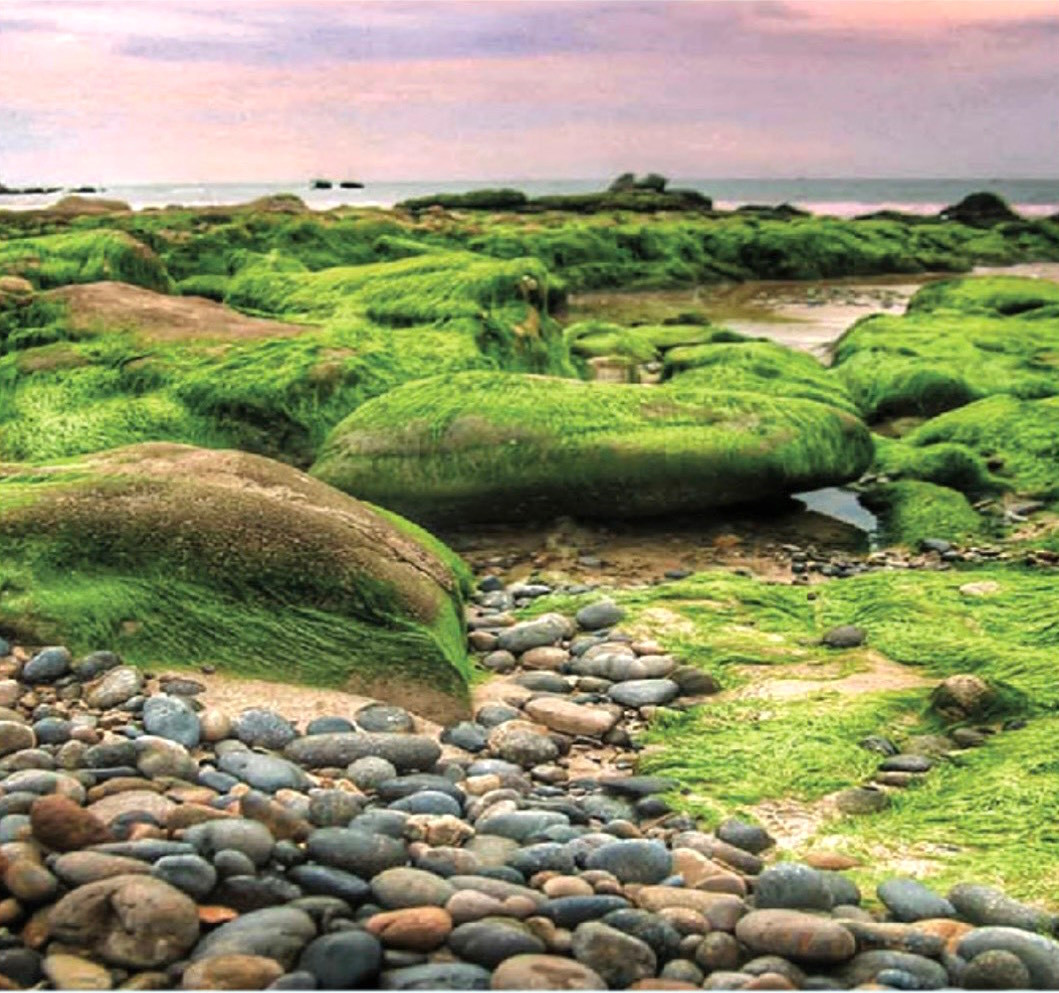 Bãi đá 7 màu nằm ngay dưới chân chùa Hang cũng là điểm đến tuyệt đẹp ở Bình Thuận. Nơi đây quy tụ hàng nghìn viên sỏi đá mang đủ màu sắc, đủ hình dạng, kích cỡ, lấp lánh dưới nắng mặt mặt trời, sóng sánh dưới mặt nước trong veo. Bãi đá 7 màu nằm ở biển Cổ Thạch thuộc xã Bình Thạnh (huyện Tuy Phong). Đây là vùng biển có bãi đá 7 màu “độc nhất vô nhị” ở Việt Nam. Bãi đá 7 màu nằm ngay dưới chân chùa Hang cũng là điểm đến tuyệt đẹp ở Bình Thuận. Nơi đây quy tụ hàng nghìn viên sỏi đá mang đủ màu sắc, đủ hình dạng, kích cỡ, lấp lánh dưới nắng mặt mặt trời, sóng sánh dưới mặt nước trong veo. Bãi đá 7 màu nằm ở biển Cổ Thạch thuộc xã Bình Thạnh (huyện Tuy Phong). Đây là vùng biển có bãi đá 7 màu “độc nhất vô nhị” ở Việt Nam.