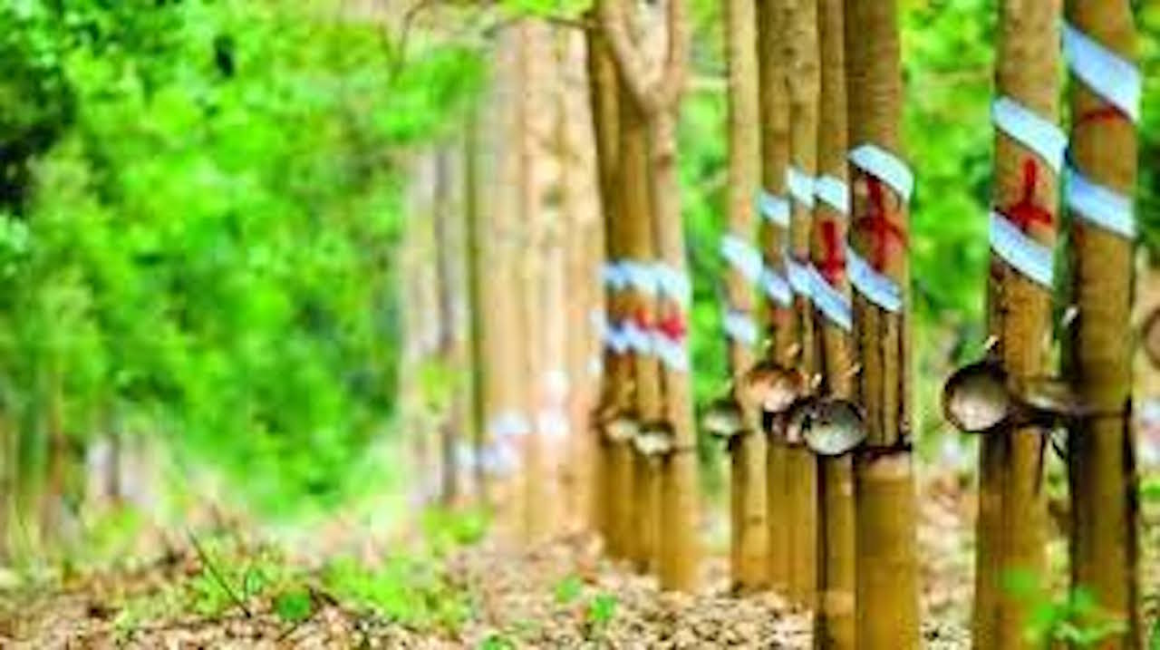 Vụ lùm xùm tại Công ty Sơn Trang không chỉ ảnh hưởng môi trường đầu tư mà còn gây mất an ninh trật tự ở địa phương.