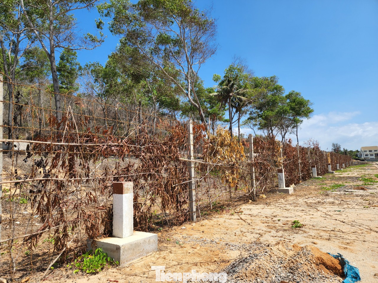 Đồng thời Ban Thường vụ Tỉnh ủy cũng đang chỉ đạo xem xét trách nhiệm xử lý tổ chức đảng và đảng viên liên quan có vi phạm khuyết điểm theo thẩm quyền.